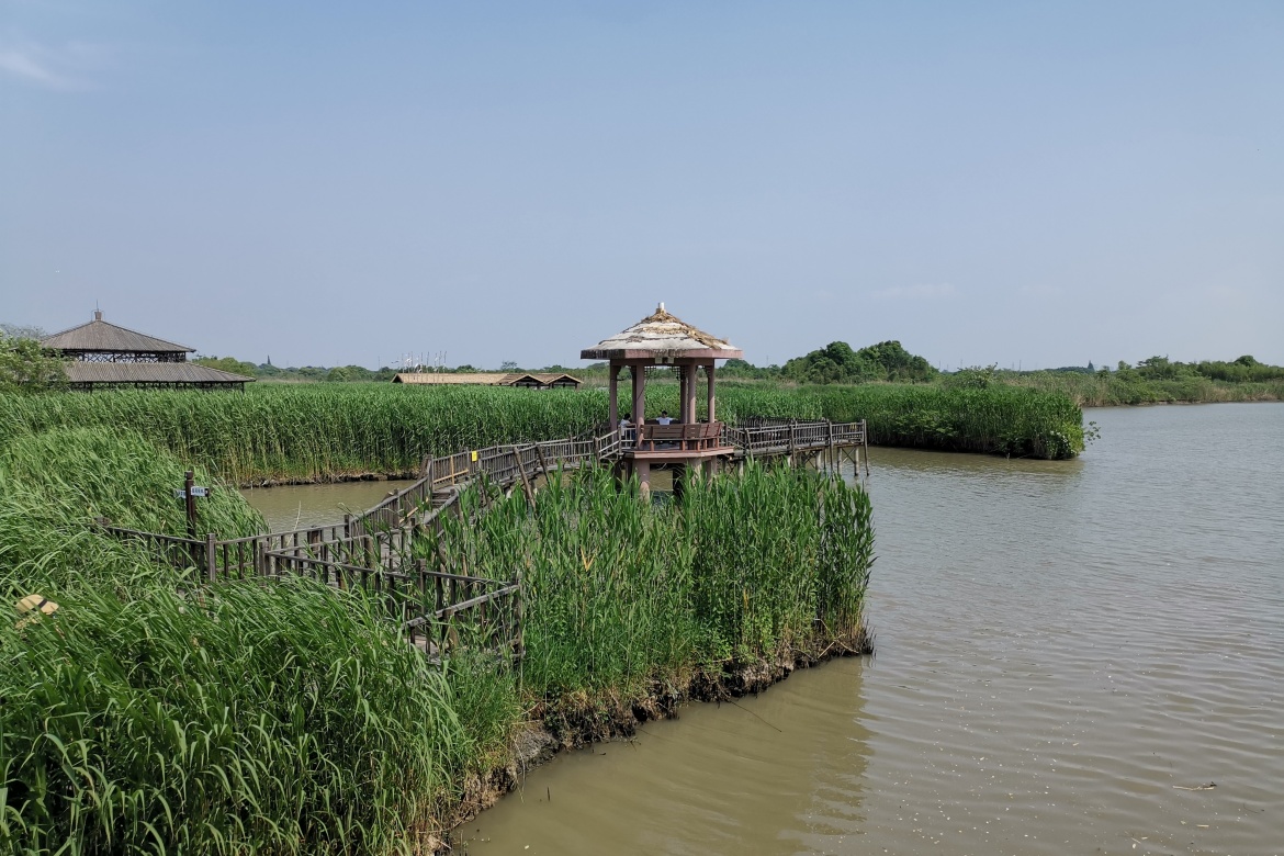 Xiazhu Lake